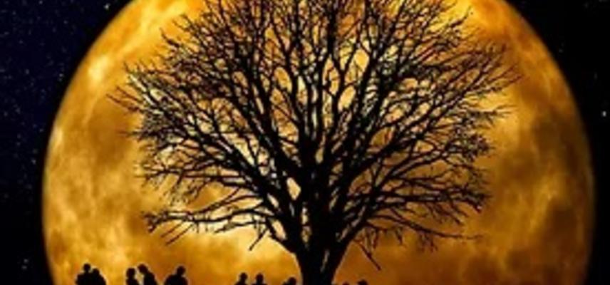 A group of people silhouetted together around a tree against a full, golden moon. 